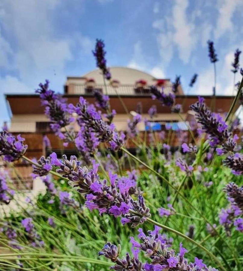 Hotel B&B Chamberlain Milna  Eksteriør bilde